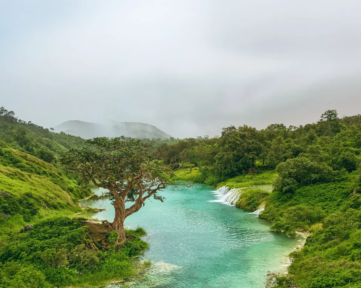Green in the Khareef season