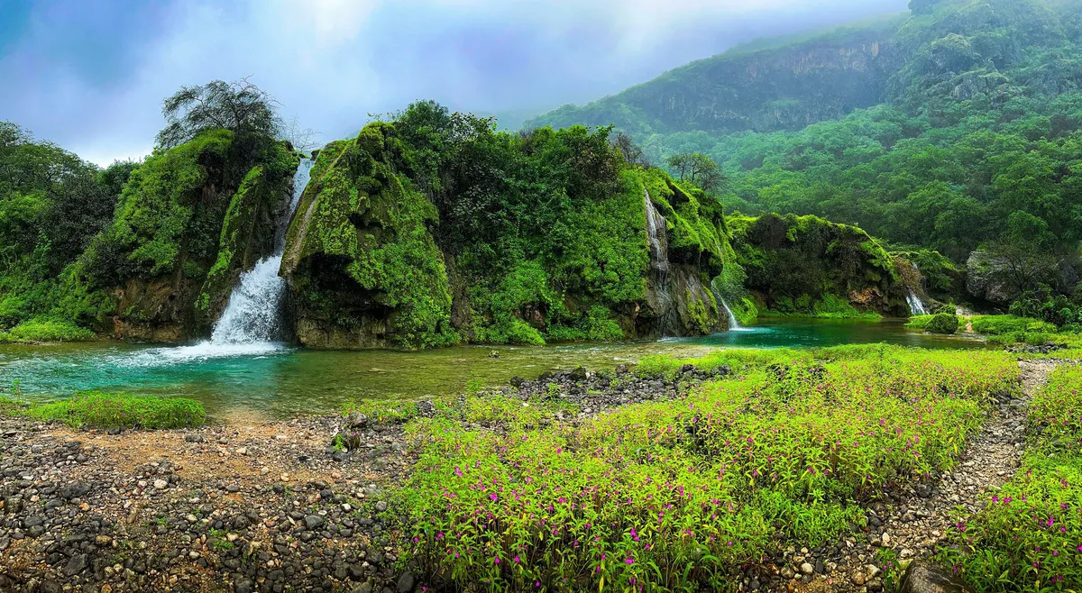 The nature of Dhofar